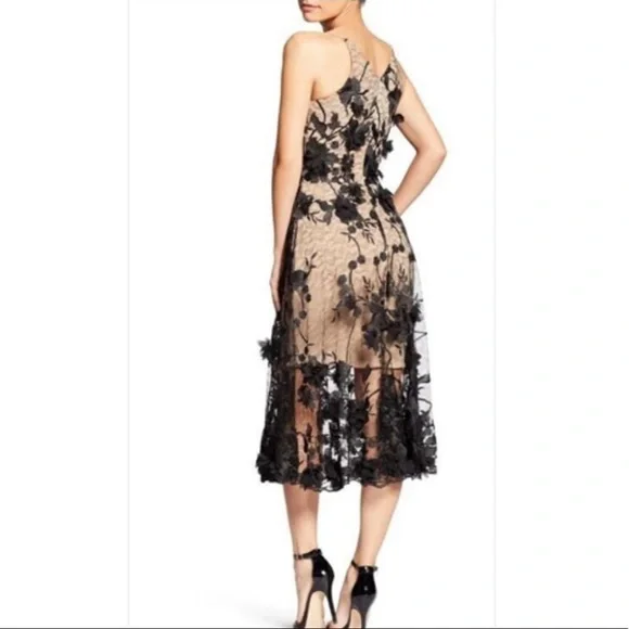 Dress the Population Audrey‎ Sheer Floral Overlay A-Line Sleeveless V-Neck XS